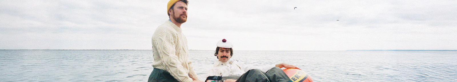 Dana and Alden Album Banner