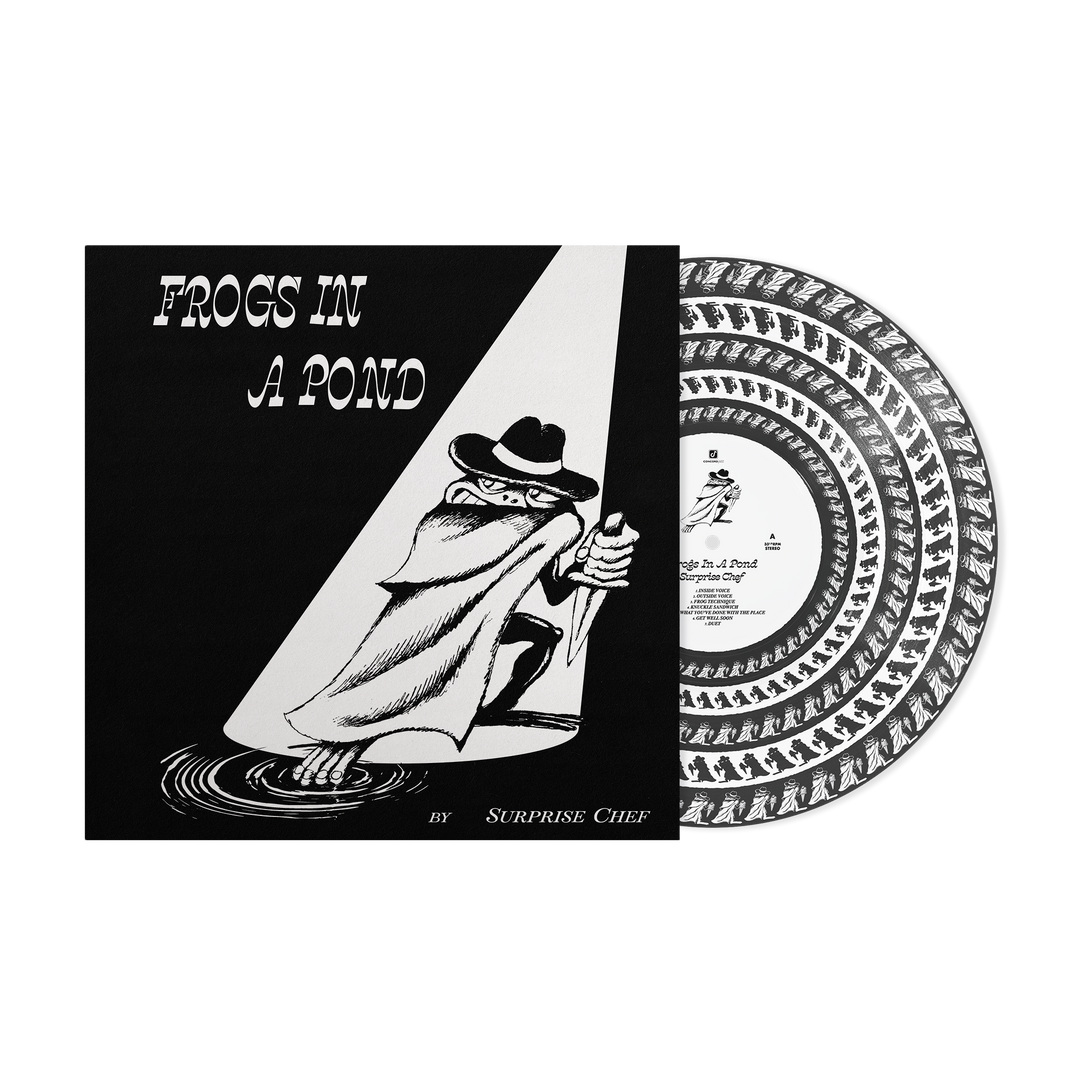 Frogs In A Pond - Zoetrope Vinyl - View 1