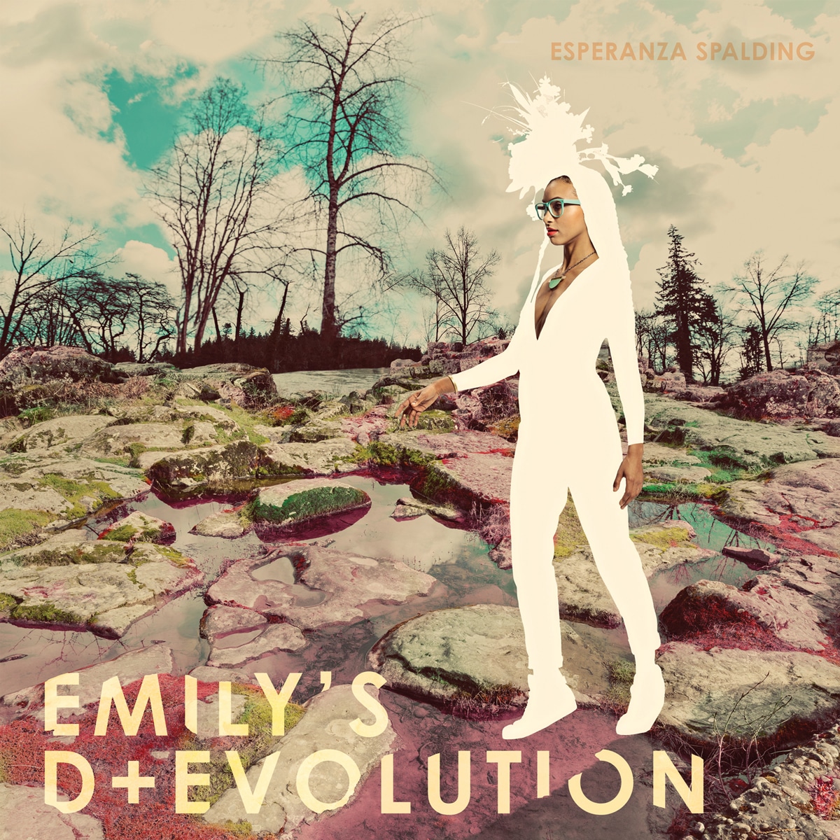 Featured Image for “Emily’s D+Evolution”